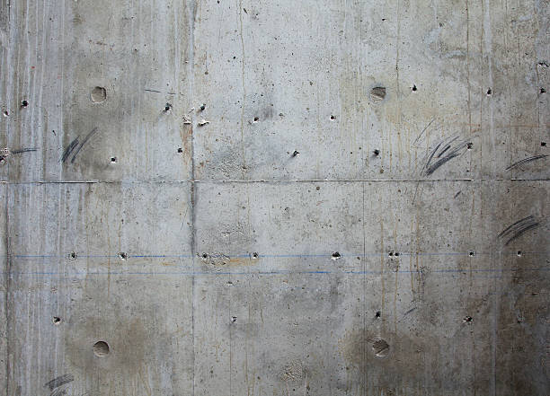 Best Concrete Sealing and Maintenance in Tropical Park, FL